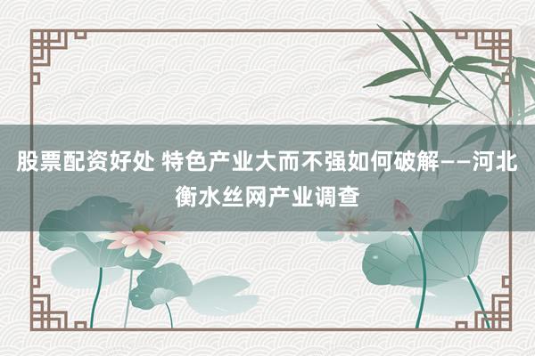 股票配资好处 特色产业大而不强如何破解——河北衡水丝网产业调查