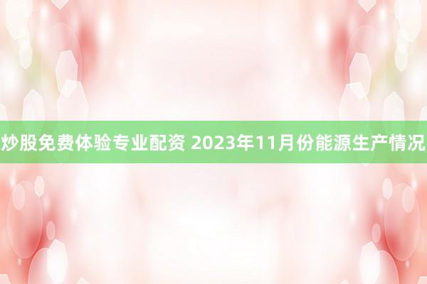 炒股免费体验专业配资 2023年11月份能源生产情况