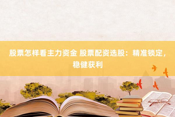 股票怎样看主力资金 股票配资选股：精准锁定，稳健获利