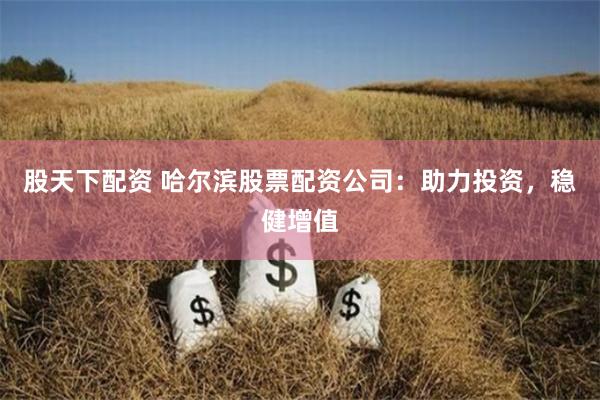 股天下配资 哈尔滨股票配资公司：助力投资，稳健增值